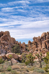 Joshua Tree National Park with amazing views of rock formations and yuccas