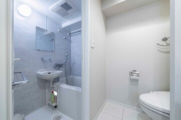 The shower area, shower room and toilet in a modern apartment
