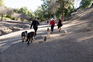 People walking their dogs outside on trail in a park for exercise play and health
