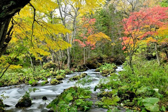 Best 滝見橋 Images Stock Photos Vectors Adobe Stock