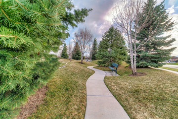 Scenic park with lush trees pathways and bench on the wide stretch of grass land