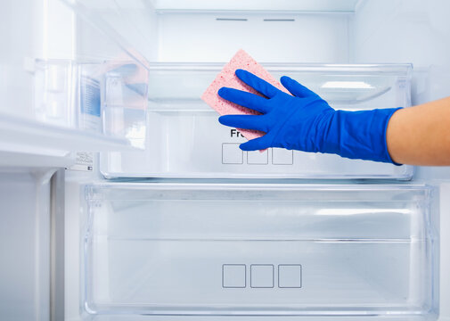 A woman's hand in a blue rubber protective glove and a pink sponge washes and cleans the refrigerator shelves. Cleaning service, housewife, routine housework. Boxes for vegetables, fruits and meat.