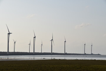 The view of wetland in Taichung, Taiwan