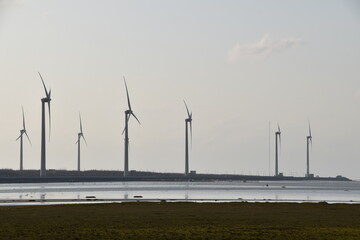 The view of wetland in Taichung, Taiwan