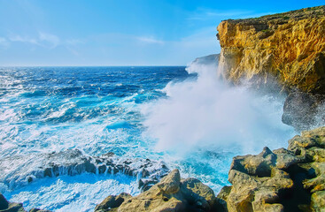 The nature of Gozo, Malta