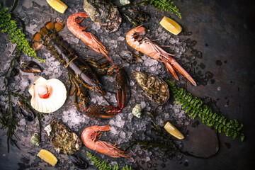 Seafood: lobster, shrimp, langoustine, oysters on ice
