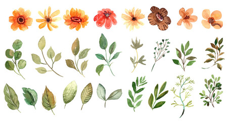 Collection of Watercolor Yellow FLorals and Leaves Vector Elements