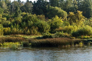 The River Berd. Western Siberia, Russia