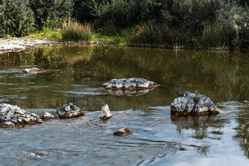 The River Berd. Western Siberia, Russia