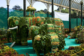 Floral Decorated Elephants - Powered by Adobe
