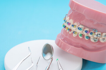 Close up dentist tools and orthodontic model  - demonstration teeth model of varities of...