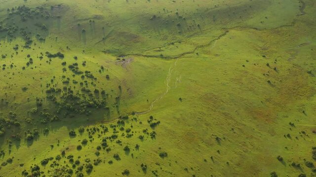 Aerial: beautiful green grasslands on Pester plateau, Serbia