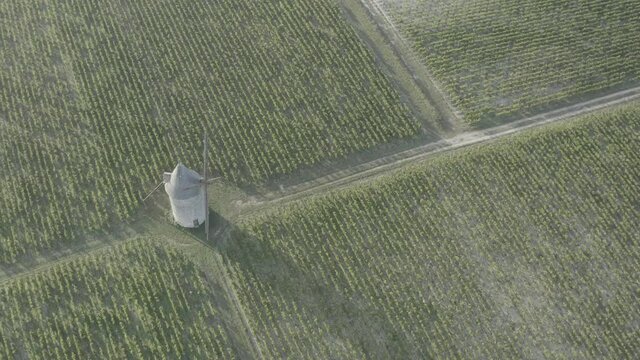Filmed during harvesting in France 2020. The grapes are meant for wine. Filmed on the DJI Mavic 2 Pro.