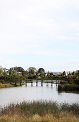 Fototapeta na wymiar Wetlands in South East suburbs of Melbourne, Victoria, Australia showing trees, gardens, lake