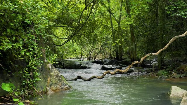 Chet Khot Waterfall in Tropical Rainforest, Saraburi Thailand. Nature background