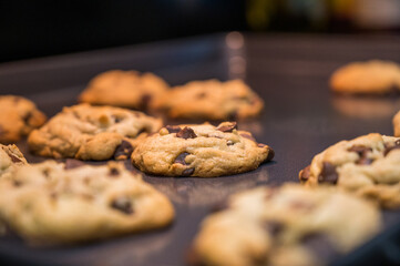 Chocolate Chip Cookies on a Pan Close Up