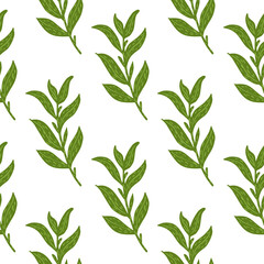 Botanic seamless isolated pattern with simple green leaf branches ornament. White background.