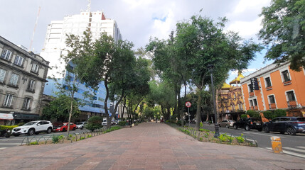 Avenida Álvaro Obregón de Colonia Roma de la Ciudad de México