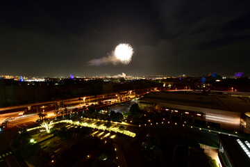 Fototapeta premium 東京の冬の花火