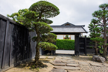 SONY DSC samurai house, historic house, entrance,tree,
Matsu tree, historic town,hirosaki city, japan,