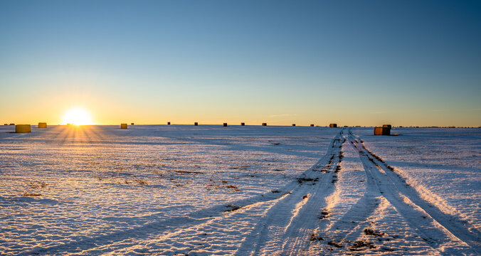 Square hay bales with tire tracks sit in a snow covered harvested field at sunset in Rocky View County Alberta Canada