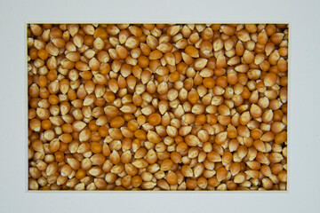 Raw Pop Corn Kernel Background