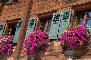 Fototapeta na wymiar Traditional Shuttered Windows with Pink Geranium Flowers in Splugen, Switzerland