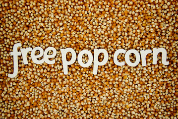 Raw Pop Corn Kernel Background