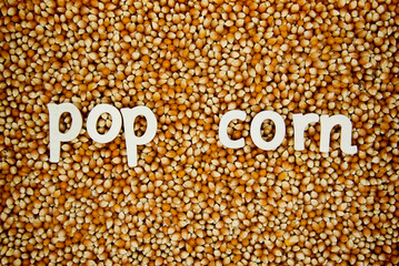 Raw Pop Corn Kernel Background