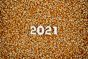 Raw Pop Corn Kernel Background