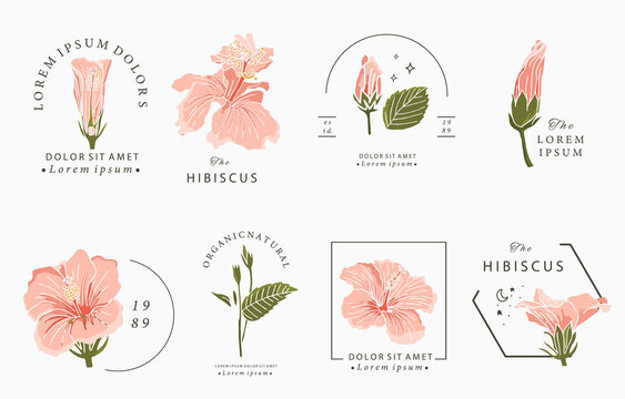 Beauty occult design collection with hibiscus.Vector illustration for icon,sticker,printable and tattoo