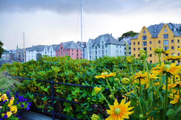 Colorful Art Nouveau architecture in cloudy summer day, Alesund, Norway. Architecture is historic heritage and landmark. Blooming yellow flowers on foreground and blurry buildings on background.