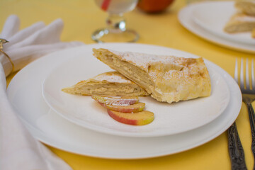 Strudel with cottage cheese and apple on a white ceramic plate.
