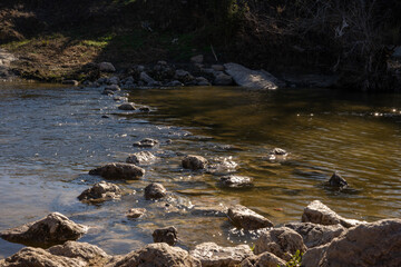 A flowing creek in a thickly forested area in the Texas Hill Country near Austin