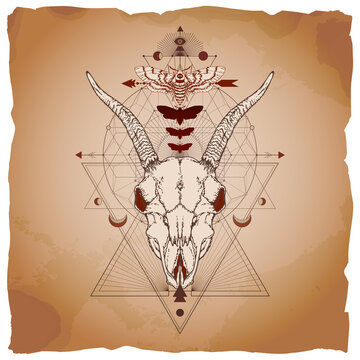 Vector illustration with hand drawn goat skull, dead head moth and Sacred geometric symbol on vintage paper background with torn edges. Abstract mystic sign. Image in sepia and red  color. 