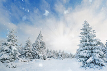 Fototapeta na wymiar verschneite Berglandschaft mit Sonnenschein
