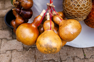 Dried bottle gourd used for traditional canteen for drinking water
