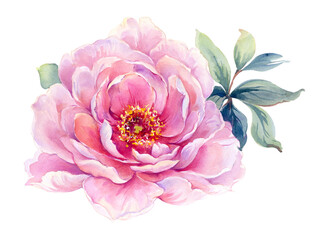 Flowers watercolor illustration. Manual composition.Design for cover, fabric, textile, wrapping paper .