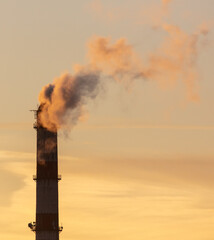 Smoke from the chimney at the factory at sunset.
