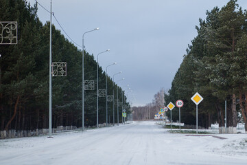 Fototapeta premium road in winter
