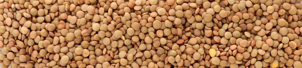 Uncooked legumes on whole background, top view