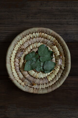 Вry eucalyptus leaves and glass jars on a wicker plate. Herbs. Organic