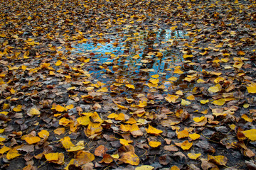 Autumnal walk along the Buñol river as it passes through Alborache (Valencia-Spain)	