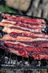 Chunks of fresh meat ready for barbecue close up