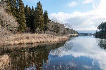 夜明けの田貫湖の風景　1月