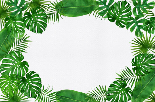 frame of tropical leaves watercolor