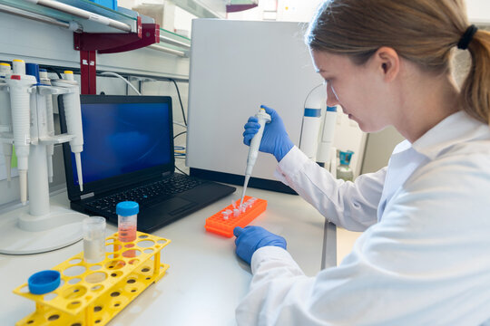 Pipettieren von Reaktionsgef&auml;&szlig;en, Biotechnologin bei der Arbeit im Labor.