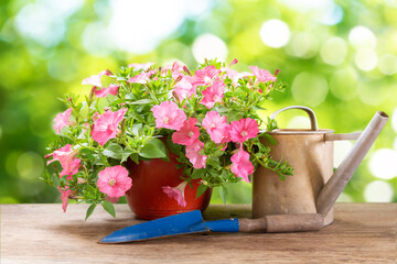 petunias flower in a pot with gardening tools on a wooden table