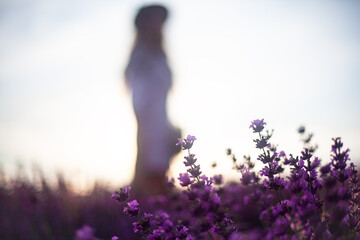 Portrait of beautiful blond woman with long curl hair relax in the purple field with lavender...