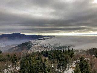The tops of the hills during a sunny afternoon covered with thick fog which passes between the treetops in the background of blue sky.